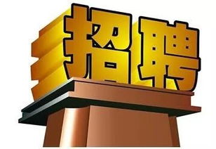 長(zhǎng)春軟件開發(fā)行業(yè)迎來新機(jī)遇，科技創(chuàng)新助力城市數(shù)字化轉(zhuǎn)型